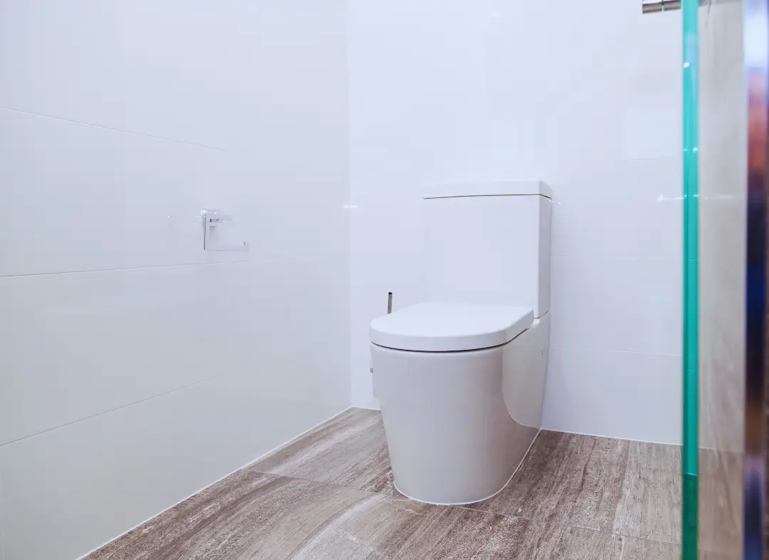 Remplacement de wc Petite-Rosselle