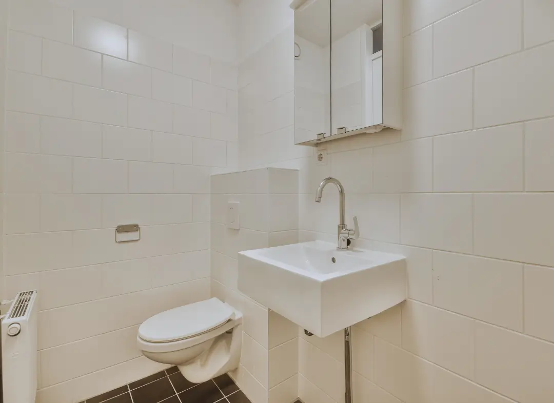 Pose WC Suspendu Petite-Rosselle